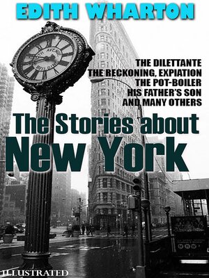 cover image of The Stories about New York. Illustrated